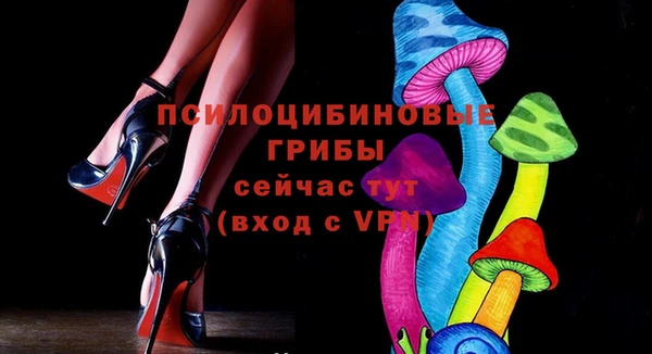 а пвп мука Белокуриха