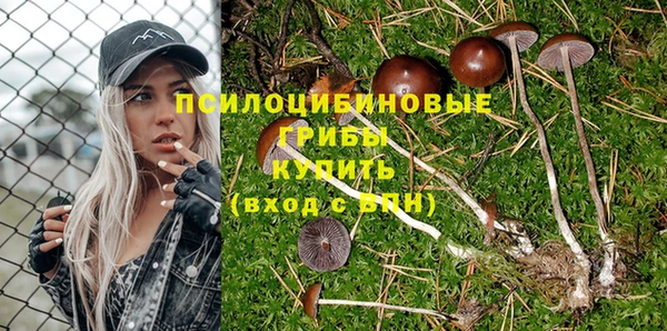 прущий лед Беломорск